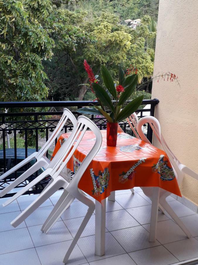 Holidays In Martinique - Ravenala Sainte-Anne Dış mekan fotoğraf