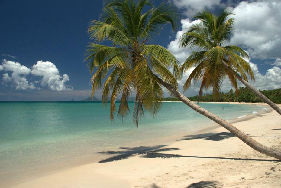 Holidays In Martinique - Ravenala Sainte-Anne Dış mekan fotoğraf