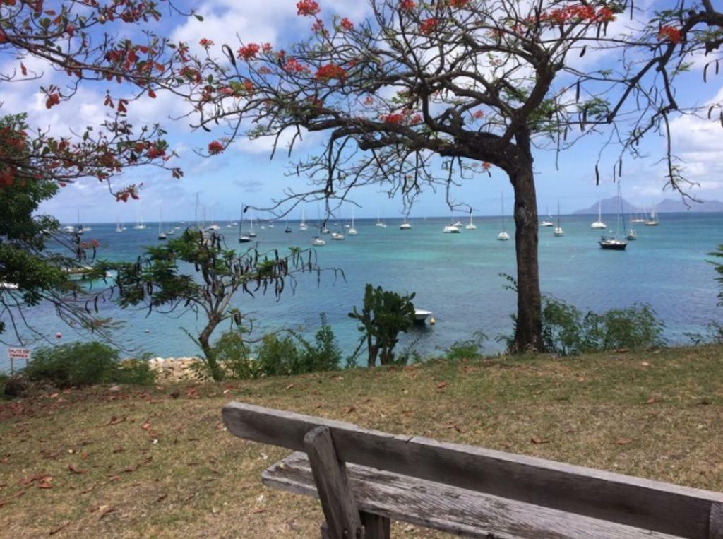 Holidays In Martinique - Ravenala Sainte-Anne Dış mekan fotoğraf